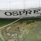 Algae-covered water in Stuart, Fl. on June 30th. Image: Terry Spencer/AP